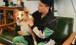 林生斌火灾视频爆料最新,揭秘火灾真相与后续发展