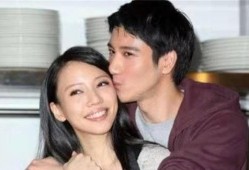 王力宏妈妈爆料视频大全,揭秘明星家庭背后的故事