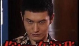 娱乐爆料黄晓明视频,娱乐爆料背后的惊人真相