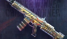 pubgm手册爆料最新,揭秘游戏新内容与更新亮点