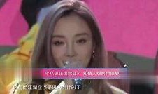 李小璐爆料中文视频合集,揭秘娱乐圈背后的真相