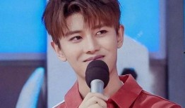 大爆料任嘉伦视频完整版,揭秘明星幕后生活与情感历程