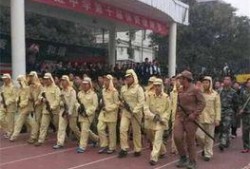 咸阳彩虹学校真实爆料视频,真实爆料视频曝光惊人内幕